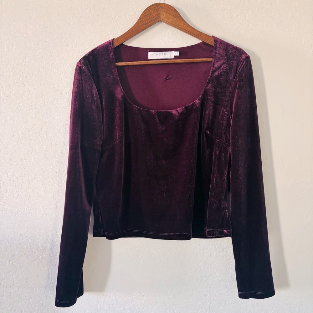 Astr‎ Deep Royal Purple Velvet Crop Top - Long Sleeve Size XL